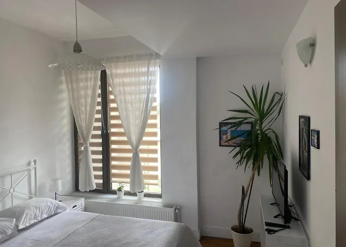 Lovely In In בוקרשט